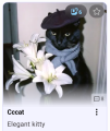 Thumbnail for version as of 09:30, 11 November 2025
